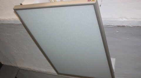 kattepension - Aalborg Kattepension & Kattehotel - ddcb9c746afa507793060bfd667cc462 e1681463992671 - Kattepension